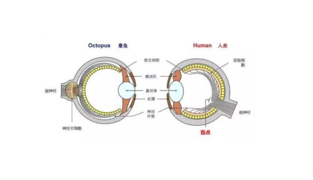 镜反光电传感器原理及其应用