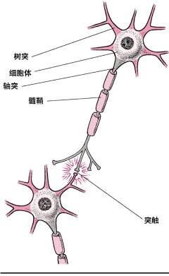 独活 第6页