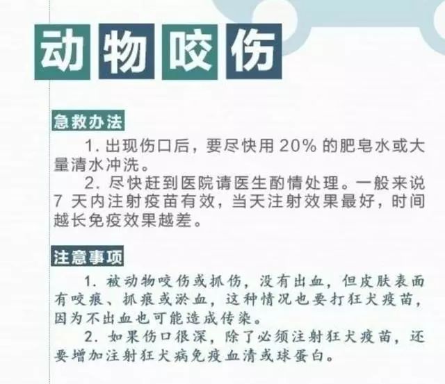 诊断仪的使用注意事项及其重要性