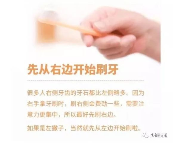 口腔卫生知乎，深入了解与保护口腔健康的重要性