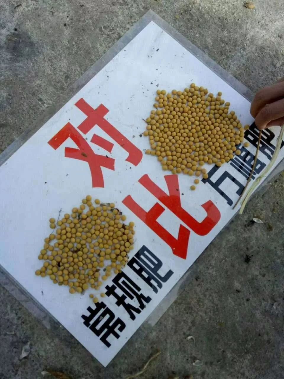 生物农药与肥料，农业发展的绿色之路