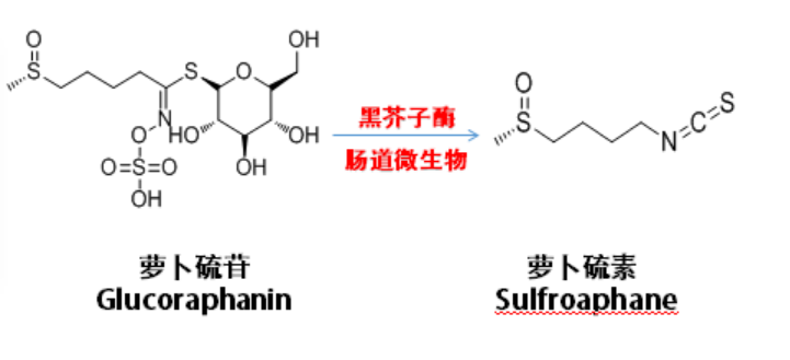 饮料生产中常用的酶及其特点简述