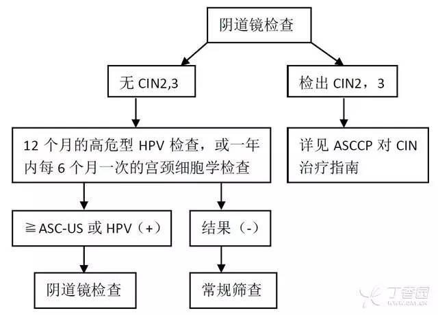 拉猪皮需要的手续和流程详解