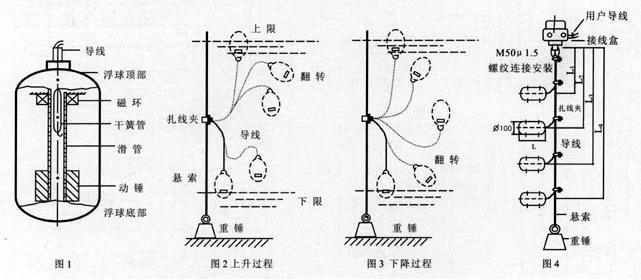 薄年 第2页