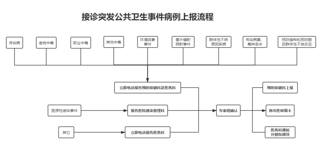 清关活动，流程、意义与影响